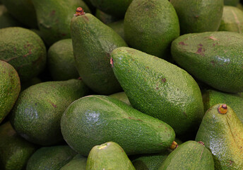 Fresh green avocado on retail display