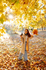 Beautiful woman taking pictures in the autumn forest.  Rest, relaxation, tourism, lifestyle concept.