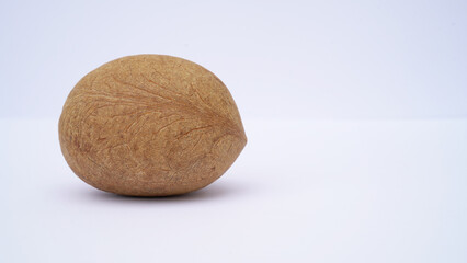 whole dried Coconut scull isolated on white background.