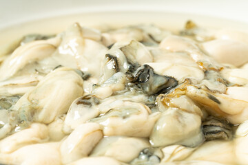 Fresh oyster meat in a simple background
