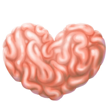 cuore di cervello