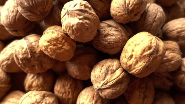 Background of Pile of Nuts