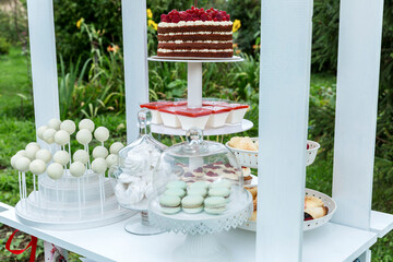 Candy bar with panna cotta, cake and waffles with berry filling in nature. Events and holidays.