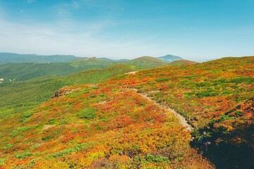 紅葉シーズンの山