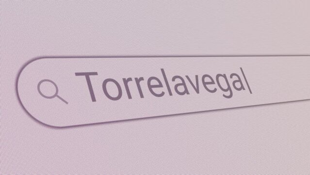 Search Bar Torrelavega 
Close Up Single Line Typing Text Box Layout Web Database Browser Engine Concept