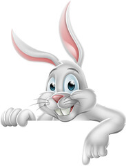 Fototapeta na wymiar Peeking Easter Bunny Rabbit Pointing Cartoon Sign