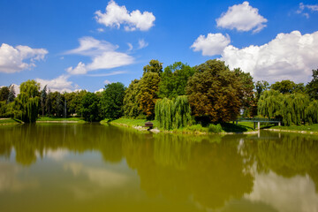 park with lake and trees