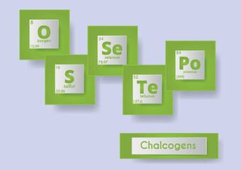 Chalcogens. The oxygen family. 6A group.Periodic system of elements. Vector illustration. Poster on the theme of chemistry. Oxygen, sulfur, selenium, tellurium, polonium. Visual aid in chemistry