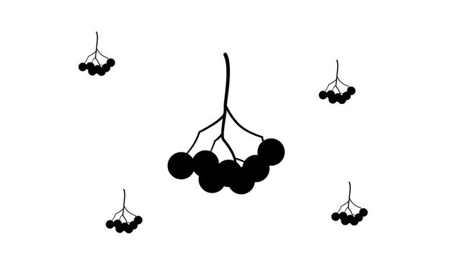 Zoom in and out animation the rowan berry symbol. Large black symbol in the center and four small symbols around. Seamless looped 4k animation on white background
