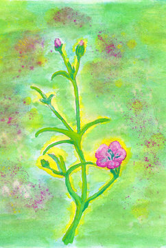 watercolor painting of flowers