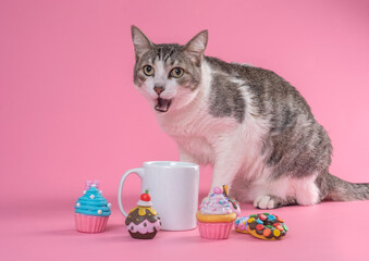Cat posing with mug, teapot, coffee, kitchenware set and colorful cupcakes in the studio by a pink background
