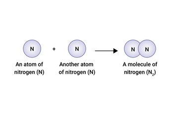 A molecule of nitrogen (N2)