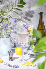 Elegant glass of Sparkling Lavender Cocktail or mocktails surrounded by ingredients on gray table surface