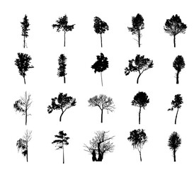 Tree silhouettes set. Vector illustration