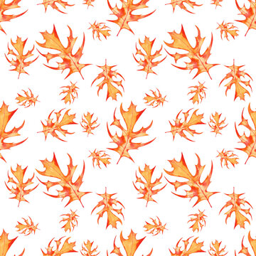 Autumn fall seamless pattern of  decorative orange maple leaves. Watercolor hand painted isolated illustration on white background.