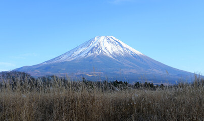 Fototapeta na wymiar Mt.Fuji in winter is covered with snow and contrasts wonderfully with the blue sky.