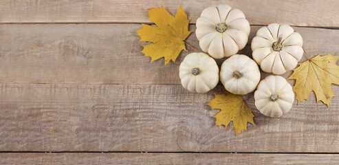 thanksgiving. Pumpkin on a wooden background. Pumpkins. View from above. Banner. copy space