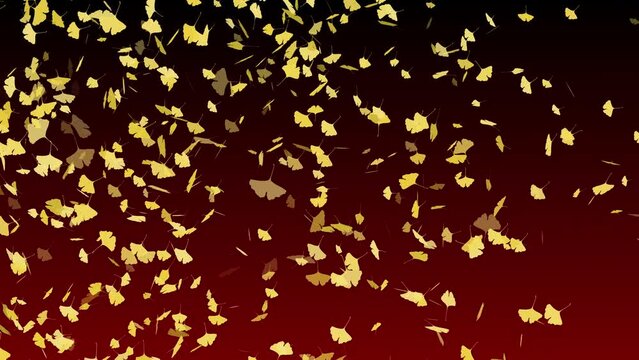 紅葉 舞う 落ち葉 イチョウ 左 旋風 【背景 グラデーション 黒赤】