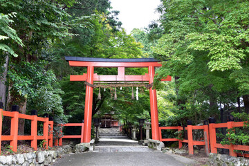 京都 大田神社の鳥居
