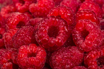 Fresh juicy raspberries close up. Background with red raspberries
