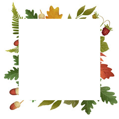 Botanical frame with forest leaves and berrieswith transparent background. Border perfect for thanksgiving day design, card, banner, template, decoration, print.