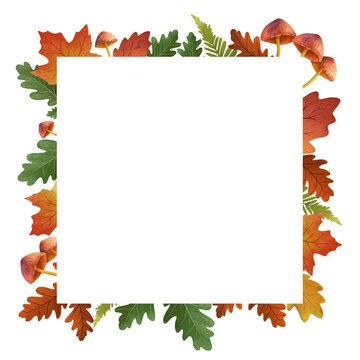 Fall forest frame with fallen autumn leaves. Botanical autumn border with acorn leaves and mushrooms on transparent background. Design element for invitations, greeting cards, cosmetic and other
