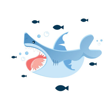 vector shark fish