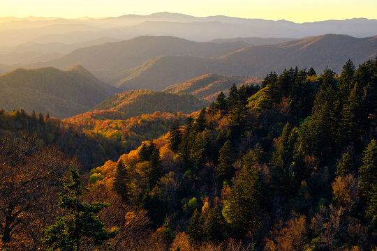A beautiful autumn mountain scene with sun hitting the mountains at sunset in the Smoky Mountains in North Carolina. 