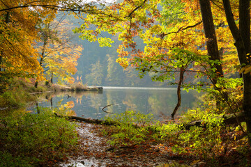 A small lake in autumn with reflections of the trees on the water. The scene is colorful in the early morning. 