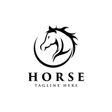 Horse silhouette Elegant Logo Symbol Vector design template