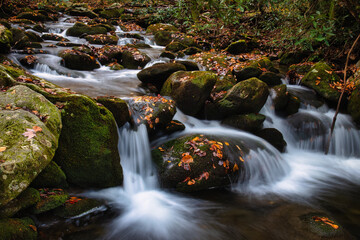 Fototapeta na wymiar small mountain stream waterfall in the autumn