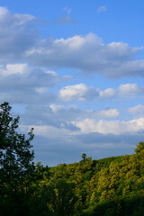 Obraz premium Forest landscape with beautiful cloudy sky