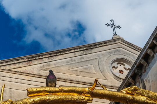 A lone dove sits on a golden branch on a sunny morning against a cloudy sky and a roof with a Christian cross, a dove and a cross in the sunlight, a symbol of peace and faith