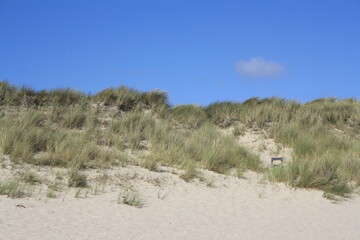 Dune at the Lister beach on Sylt