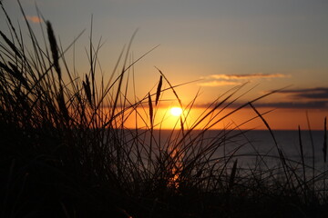 Sunset over the North Sea with dune grass in front on the island of Sylt/Germany