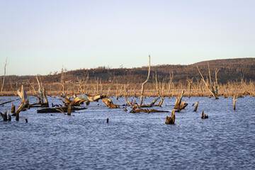 memory of a return home
