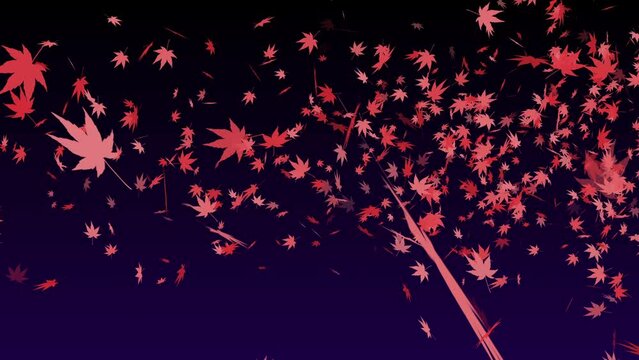紅葉 舞う 落ち葉 もみじ・カエデ 右 旋風 【背景 グラデーション 黒紫】