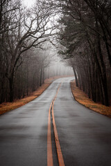 road in the forest