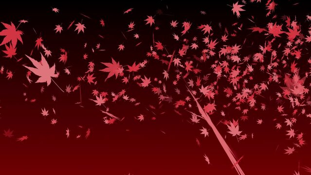 紅葉 舞う 落ち葉 もみじ・カエデ 右 旋風 【背景 グラデーション 黒赤】