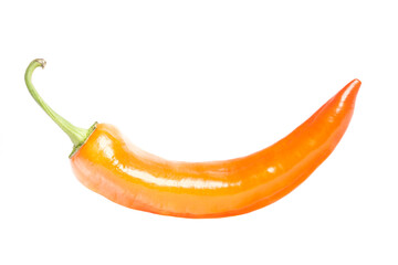 hot chili pepper isolated on a white background