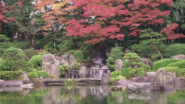 fukuoka, kyushu - december 07 2021: Static video of the Sandan-Ochi-no-Taki Waterfall of the Ue-no-Ike pond in the Japanese Ohori garden in the autumn rain falling on the red momiji maple trees.