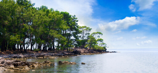 Picturesque lagoon, pine trees and blue sky. Wide photo. © alinamd