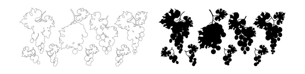 Bunch of grapes large and small in outline and black silhouette style. Set of grapes on bunch with leaves. Stock vector illustration, isolated on white background.
