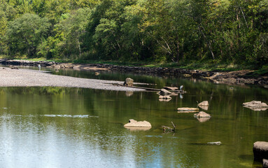 Perfect day to be at the river