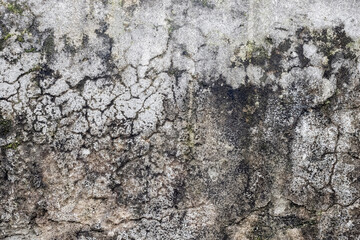 Damaged old dirty concrete wall with moss and destruction