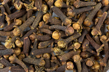 Carnation on a close-up macro as a background and texture. Indian spices for cooking. Carnation seed background with place for text