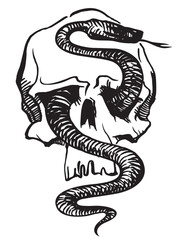 Skull, snake, Memento Mori, Skull Design, Aesthetic tattoo