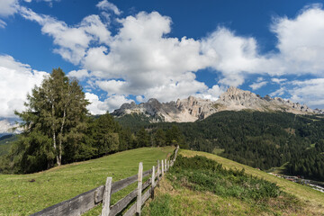 Fototapeta premium Latemar am Abend von Obereggen aus gesehen mit Weide und Wald und Weidezaun