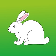 Illustration of white rabbit on green grass background 