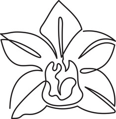 orchid flower floral minimal outline art